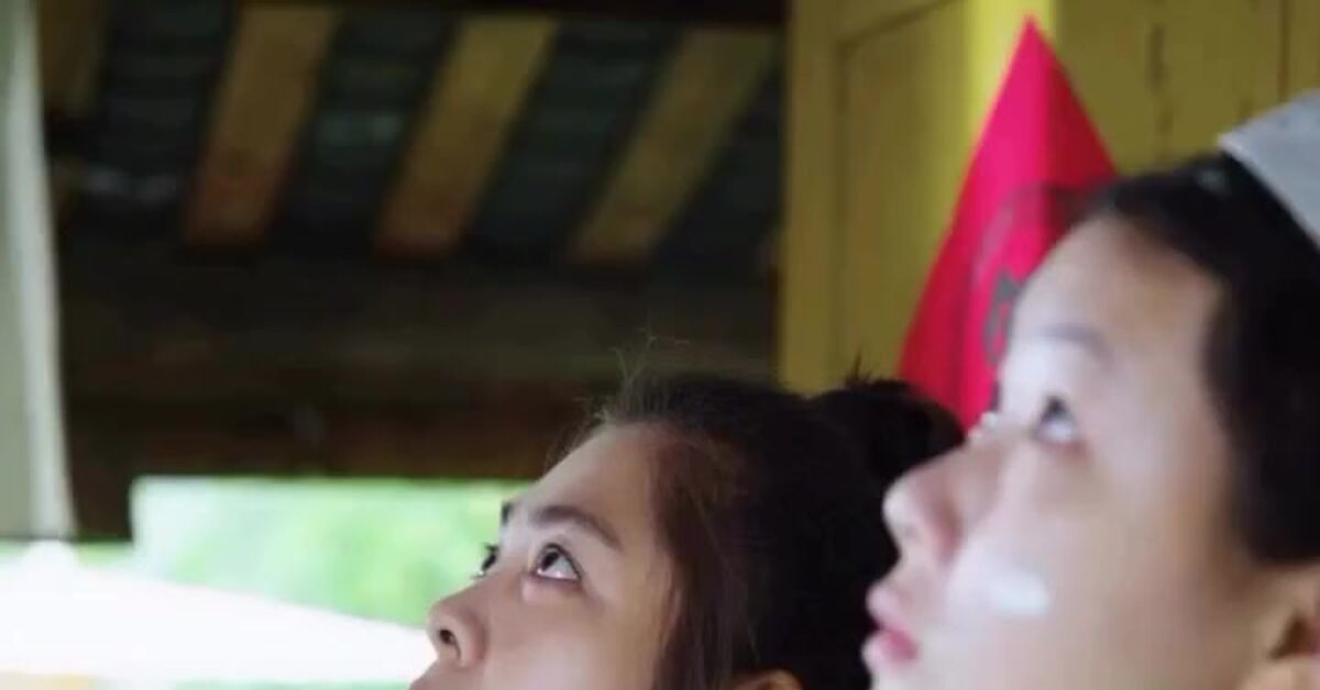 When you are an expert in your field - Electrician, Fan, Switch, Calmness, A double edged sword, Wiring, Saving, Humor, Asians, Video, Vertical video