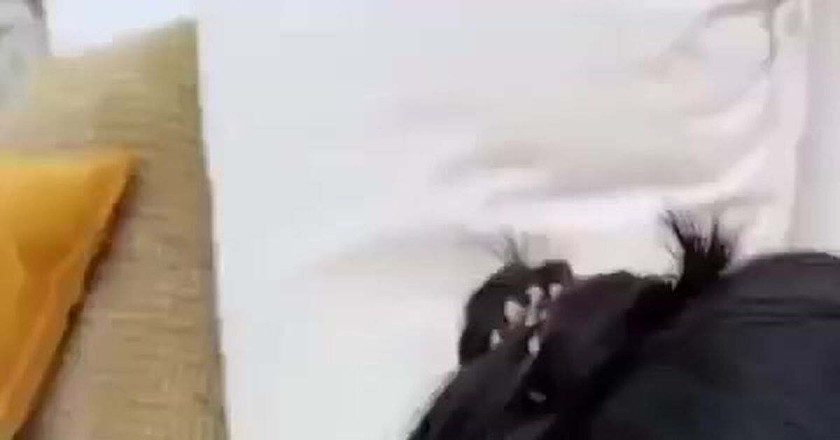 This! And you don't have to buy anything else. - Massager, Video, Massage, Vertical video, Short videos