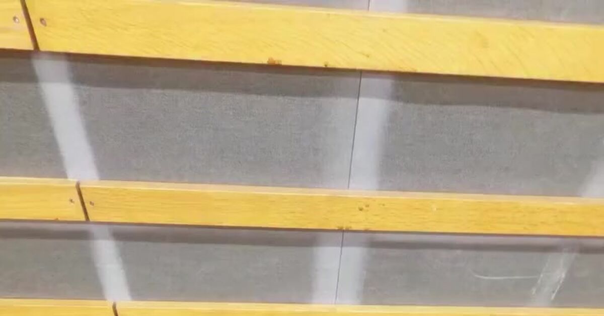 The girls are fooling around - Video, Vertical video, Short videos, Social networks, Trend, Humor, Entertainment, Instagram (link)