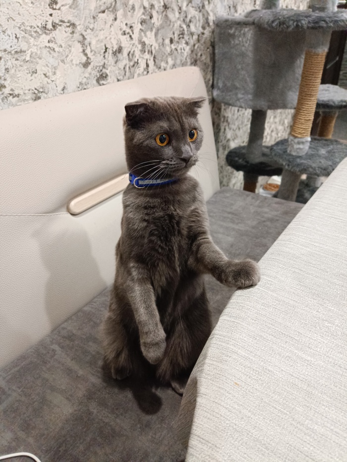 �� ����� ���� ����