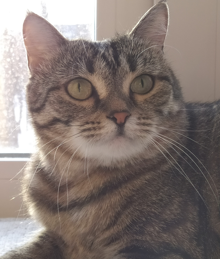 Ÿ ���������� ����������� ��������