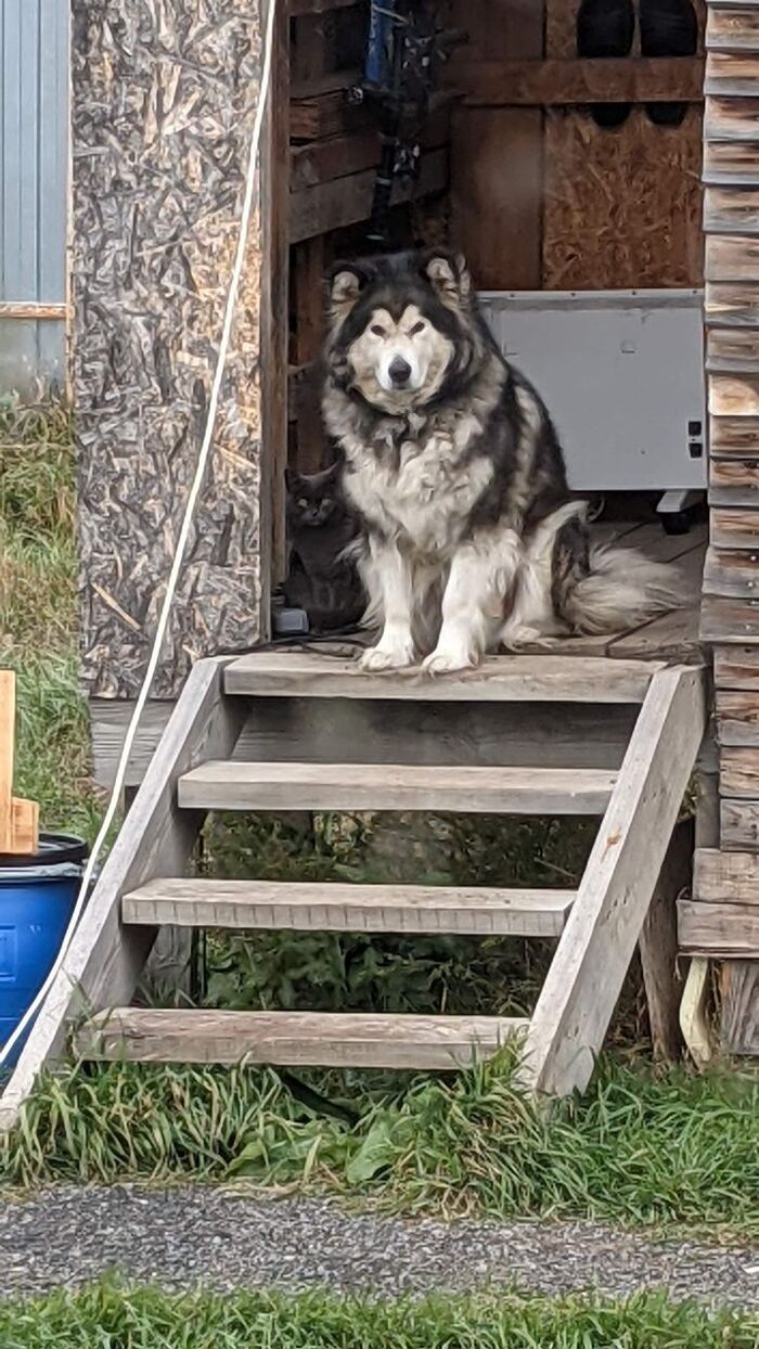 ������ ����� ���� �����!