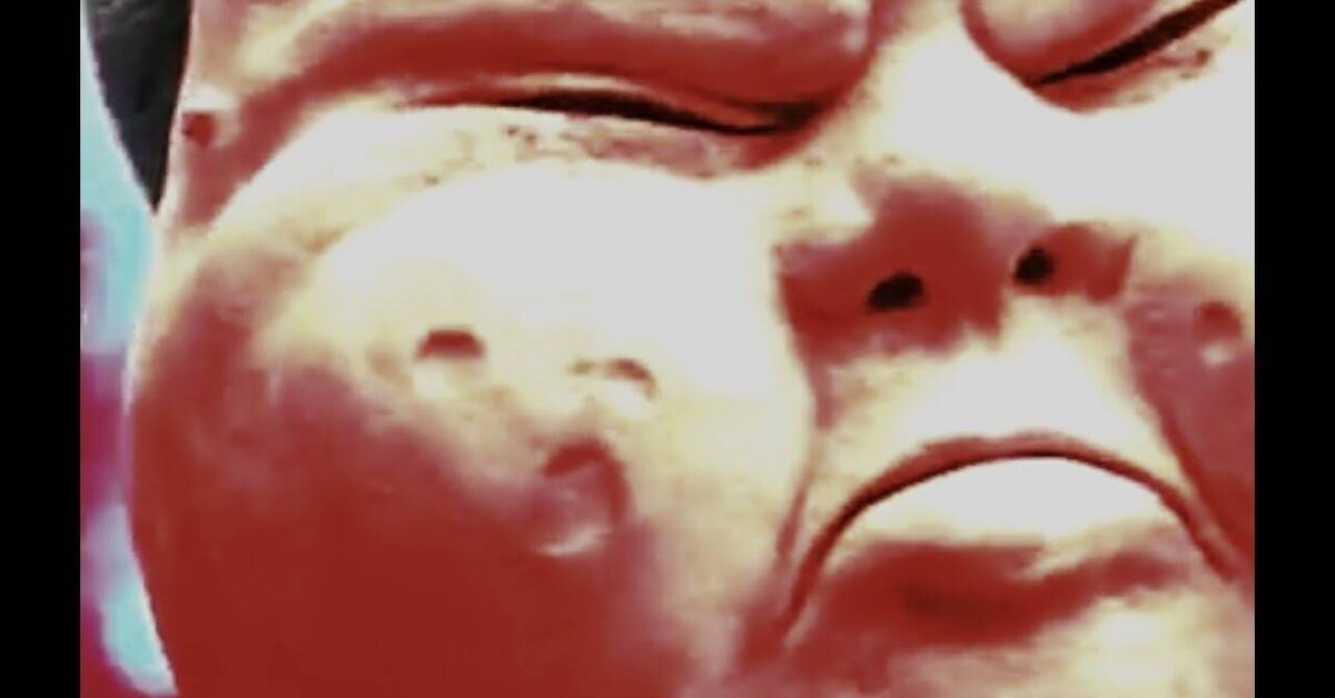 Owl City vs. Green Day vs. Coolio - BasketFlies [MashUp] - Series Music Mashups, Music, Mashup, Green day, Coolio, Basket Case, Gangstas Paradise, Dj Cummerbund, Video, Video VK, Youtube, Owl City