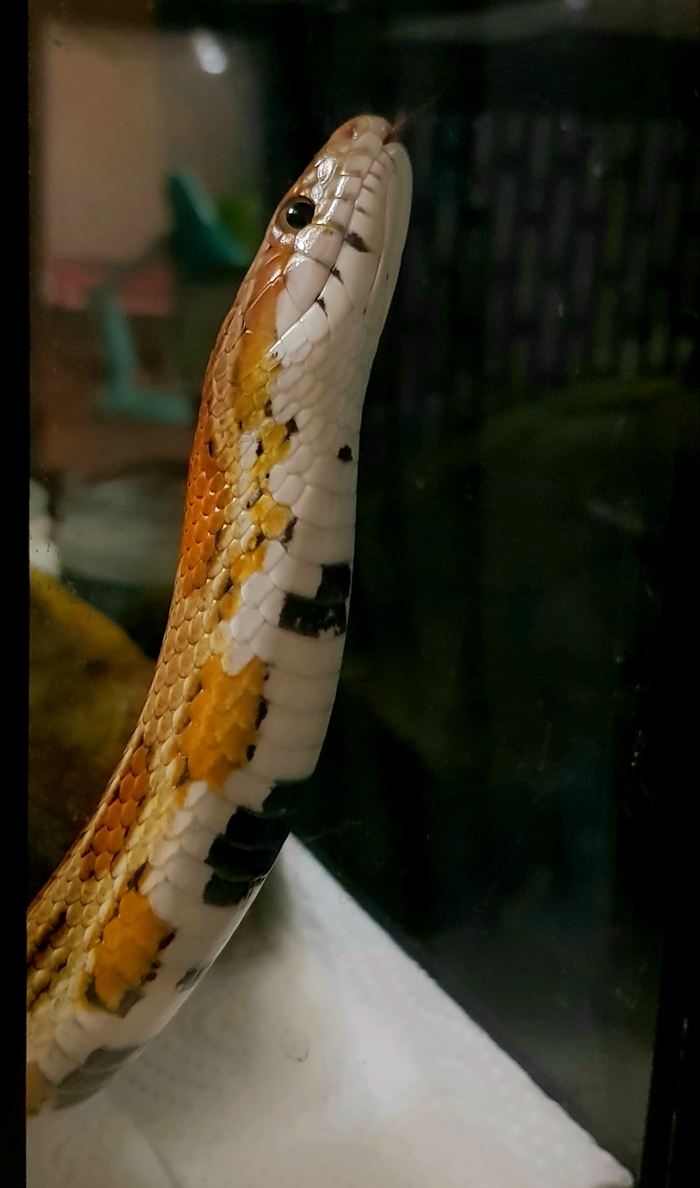 ��� ������ ���������� ����