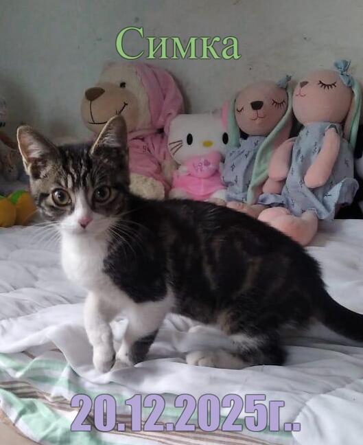 ������ �����.... �� ����� ������� ���� ������...