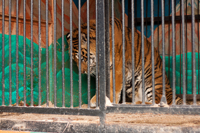 ���� �� ���������. ���� � ����������� ��������. �� ����� ����������� ����� ������� �����, ��� �������� ���������� � ������, ��� ���������� ���������, ��� ���������� � ���� �������, ������������ ��������� �������� ������ � �������������� ���������.