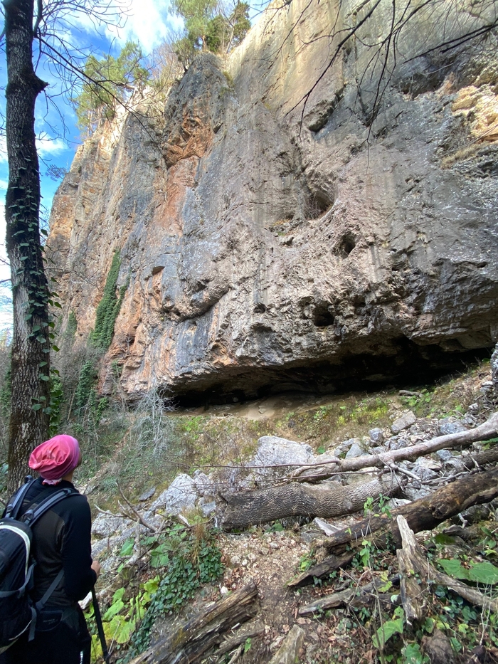 �����, � ����� ����