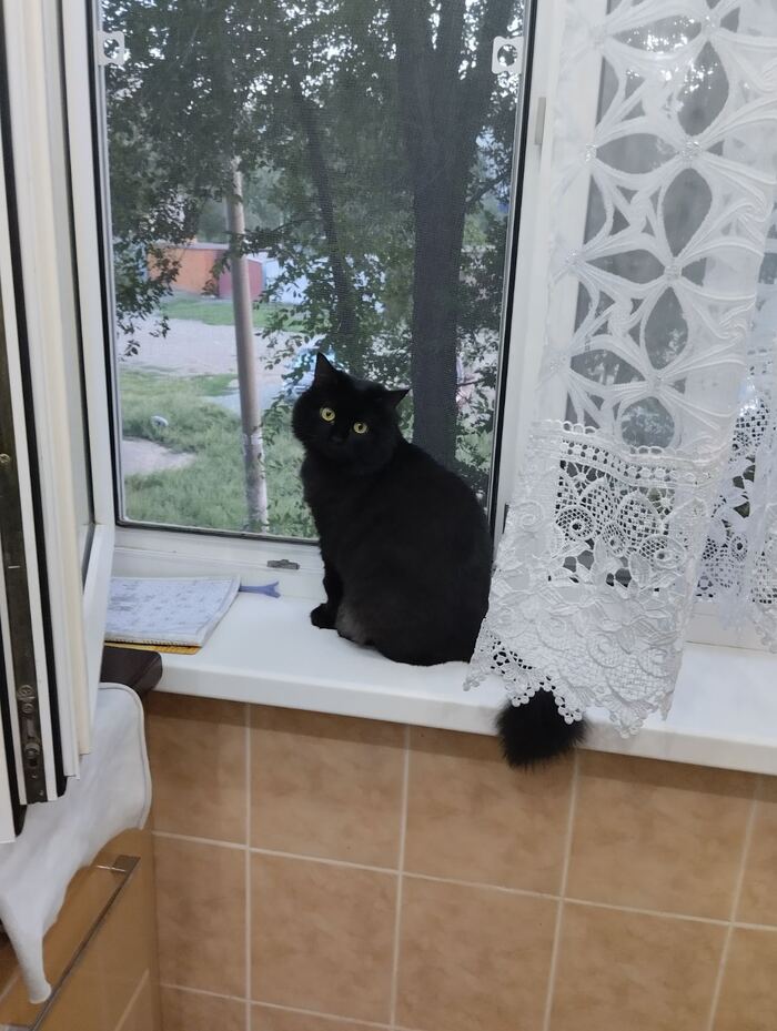 ���� � �������, ����� �� ���� � ����