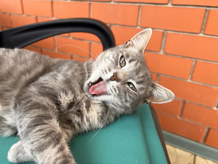 �������