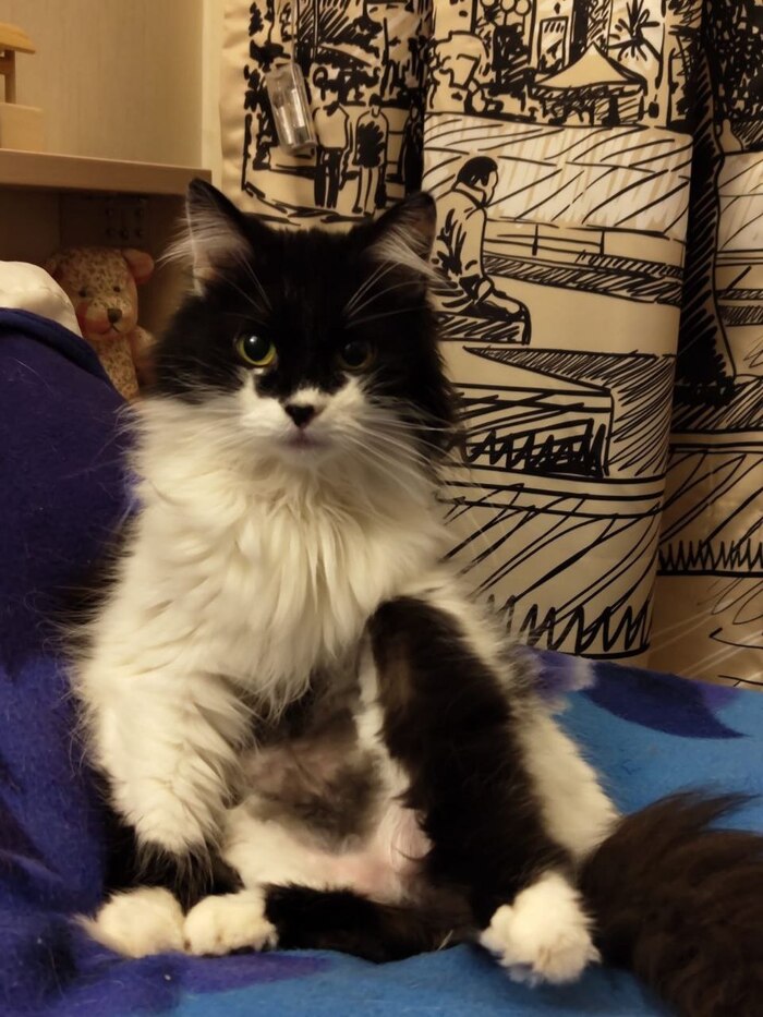 ����� �� ���� ������� ���� ����� ����