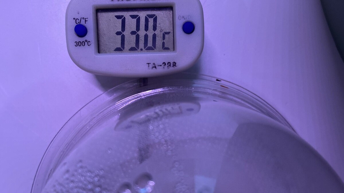 ����������� ���������