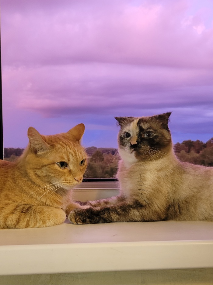 ���� � ����. ���� � ����. ����� �� �����.