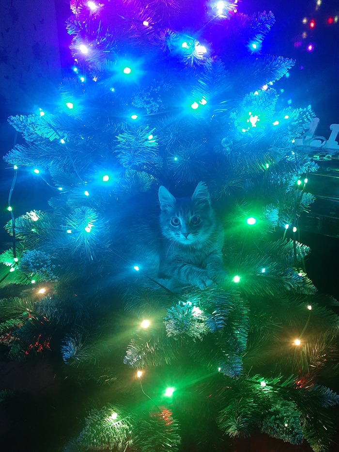 � �����������!