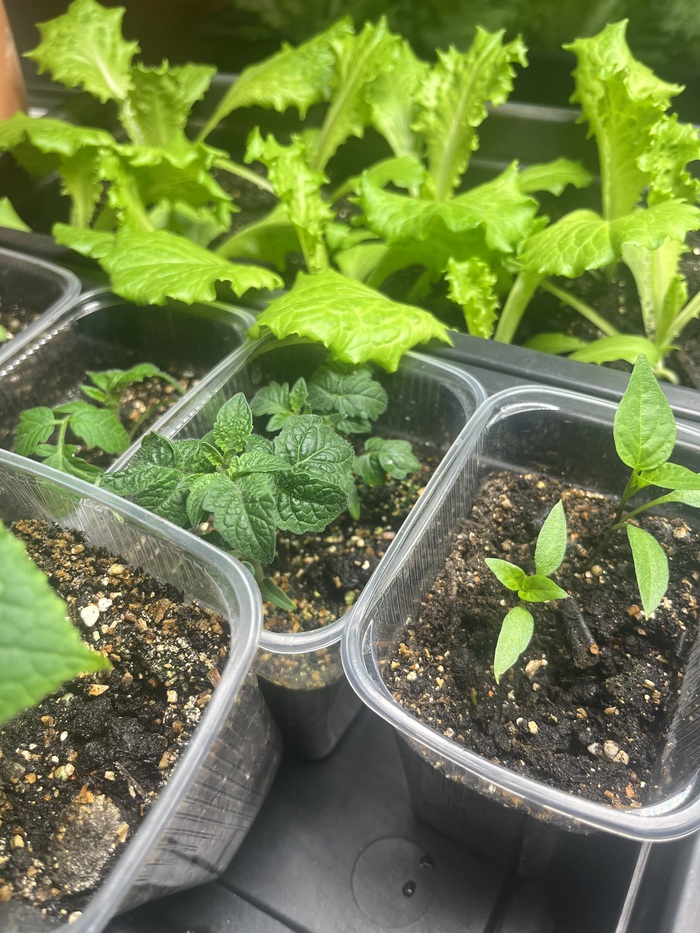 ����� ������, ��� ���� �����!