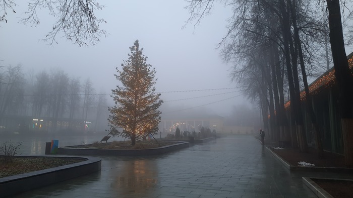 21 �������