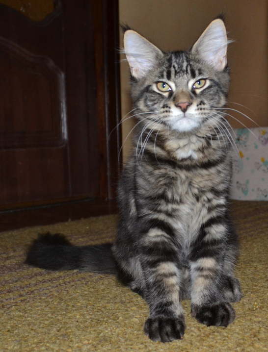 �������� ������ ������, � ���������.