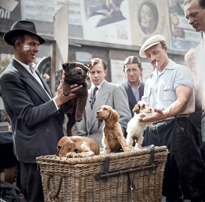 ��������: Walter Joseph.