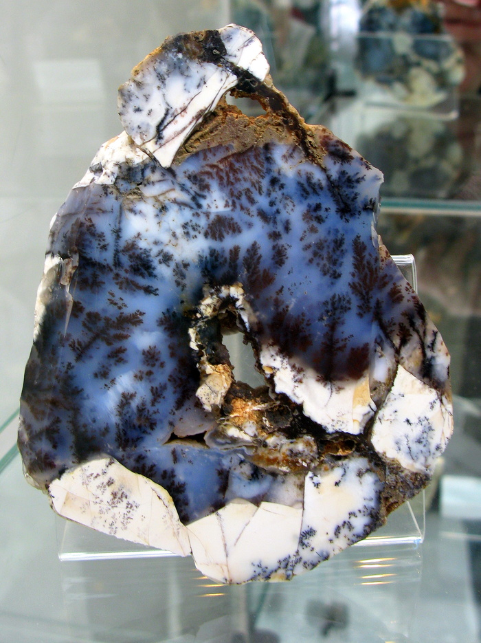 ������� ��������� ���������� � "�������� �������" ������ �����-���������. ������������� �������� (�������), ���������. ���� ������, �������� "��� �����"