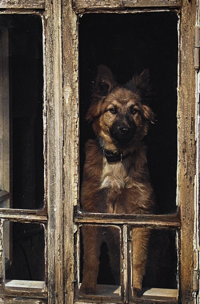 ��������: �������� ��������