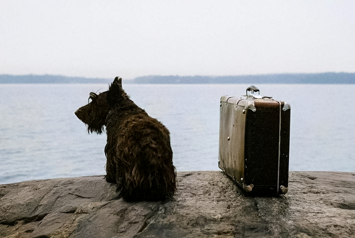 ��������: Kristoffer Albrecht