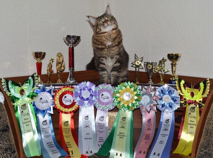 ��������� ��������� ����� ���� ��������.