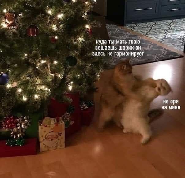 ����� ������ ���������� �����������