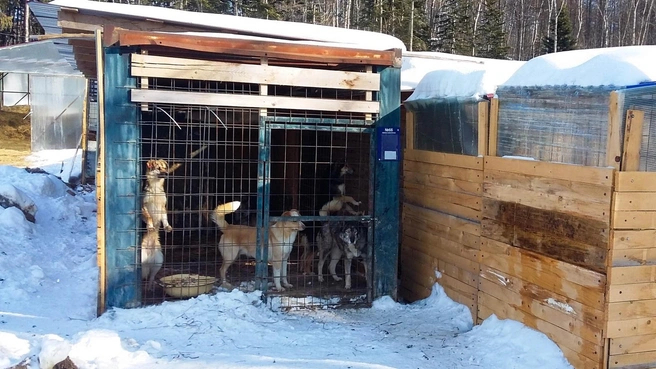 ��� ���� � ������ ������������������ ����� ������ ��������� ������� �����������. ������ � �������� �������� ����� � � ������ ����������� ����������� ������.��������:sakh.sledcom.ru