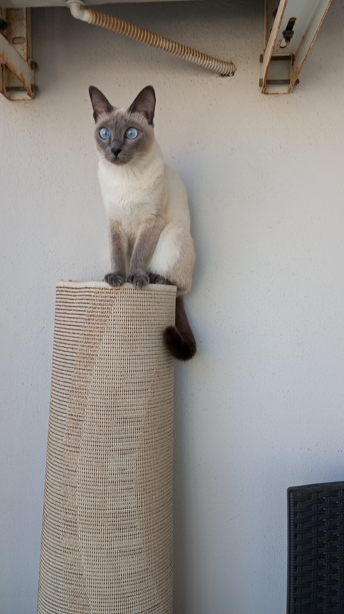 На дозорном посту