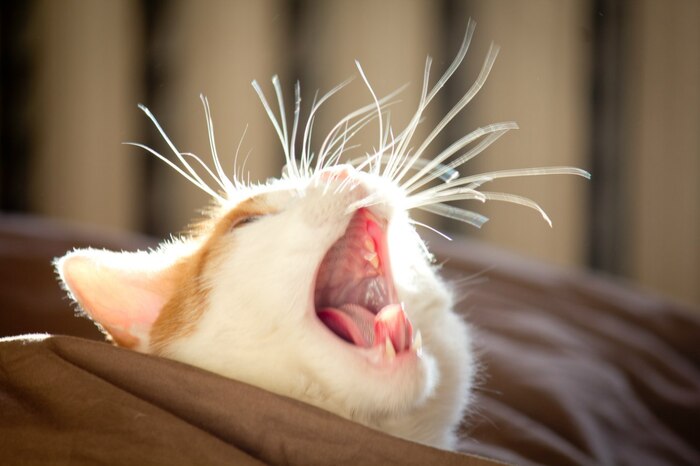 ����� ��� ����� ���� � ����� ����