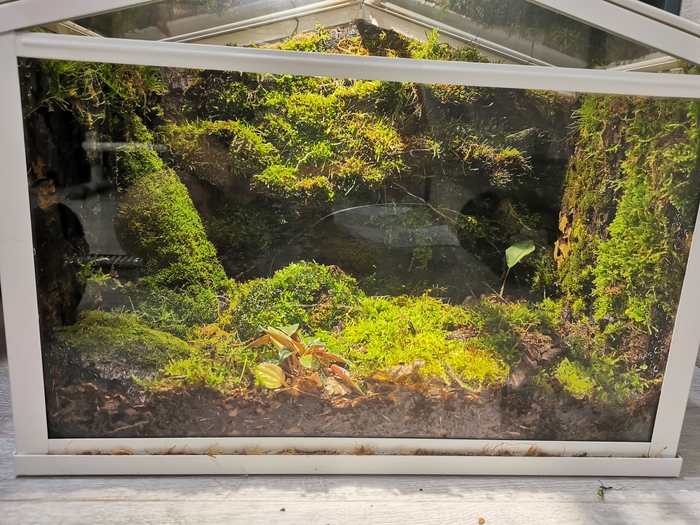 ���� ������� ����� ����� �������. ����� � ���� ����� ����������� ����� ����, �� ������� �������, ����������� ��� ������� ��� �������