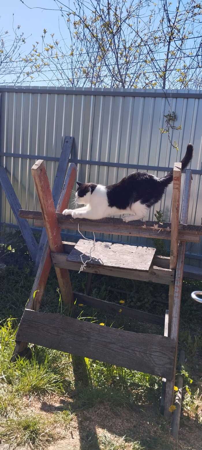 ��� ���������