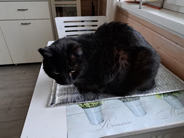 "׸���� ������" 😂