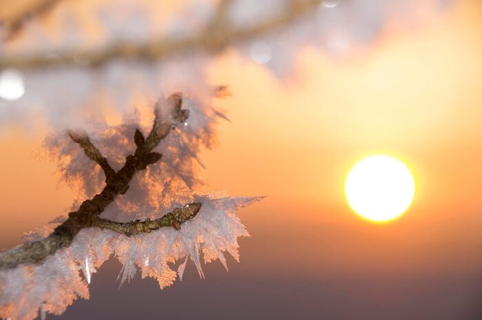 ����, ����� ���� �������� ��������� ����