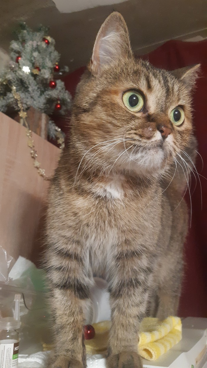 ��� ��� �� � ������ ����.