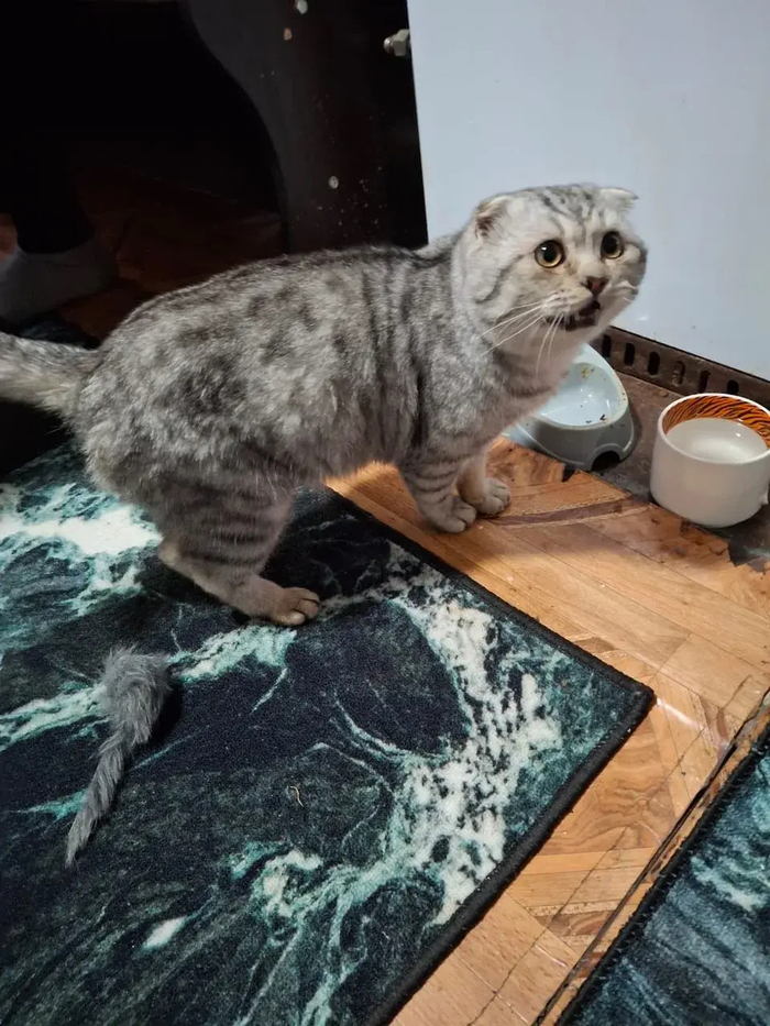 �����, � ��� ���?