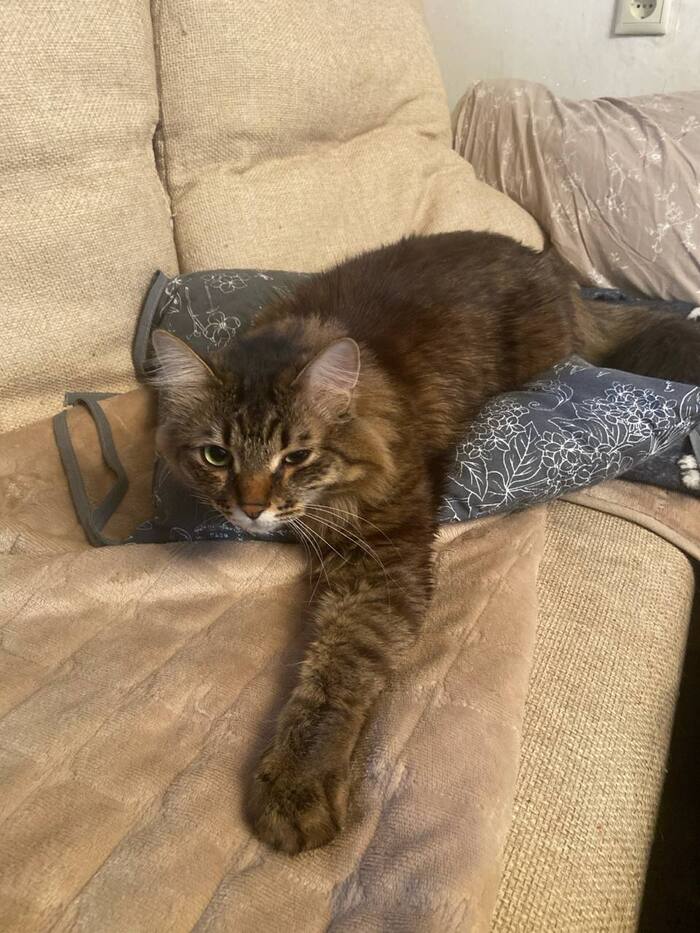 �������� ������ ���� �������� ������� � ��� ��� ������������ �������.