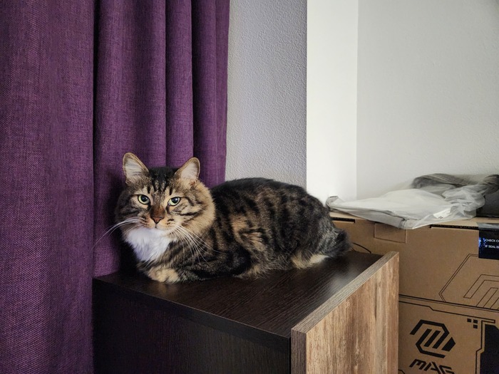 ���������� ������� #147