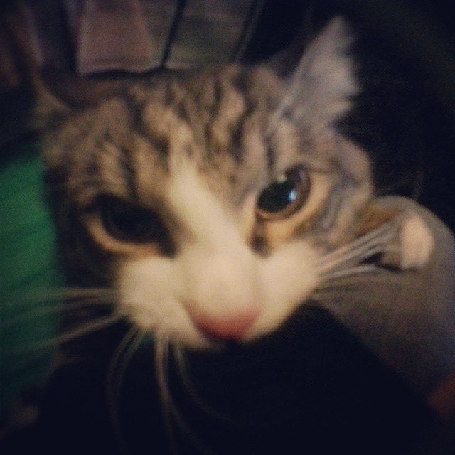 ����� �� ���� ������� ���� ����� ����