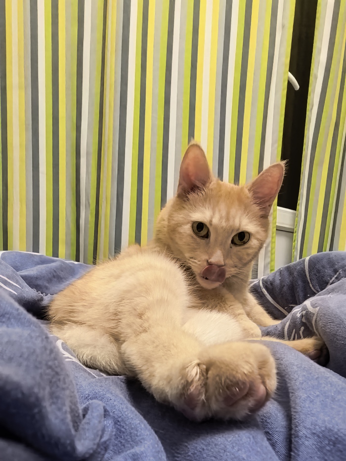 ����� �� ���� ���������� �� �� ������ ������� ���� ����. ���� � �� ��. ������� � ������ ����. �������� ���!�