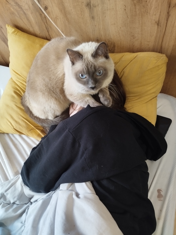 ��� ������ ���������� ����