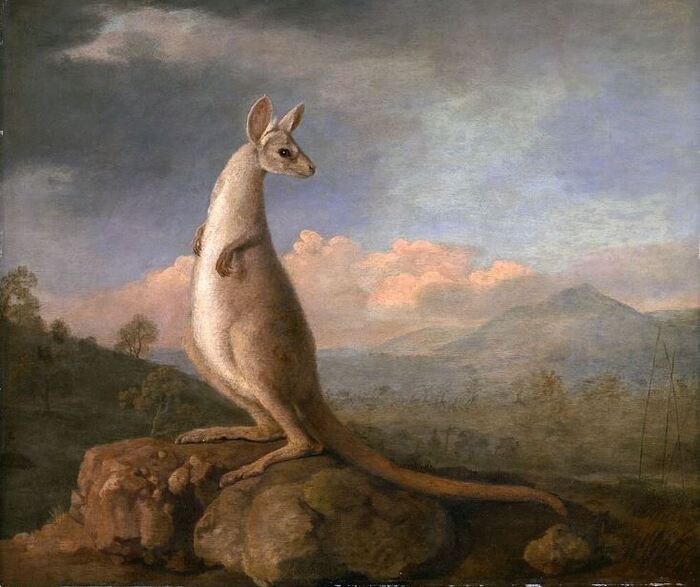 ������ ������ "������� �� ����� ���������". ������� 1772 ����.