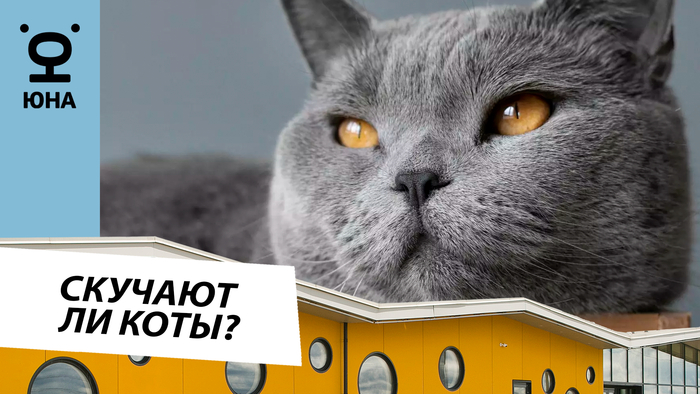 ������� �� ���� �����, ����� �� ��������? ����������� � ������� ����� ������ � ���� �������