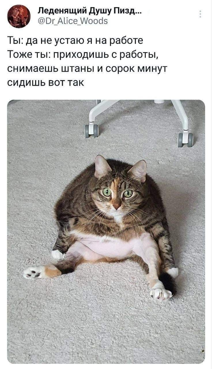 ����������� ������ ������