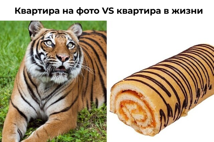 ���� �� ����� �� �����? ������������, ��� �� ��������