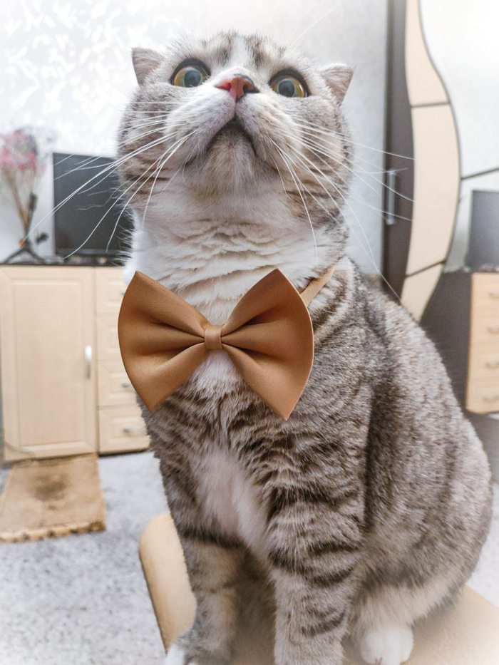 ��� ������ ���������� ����...