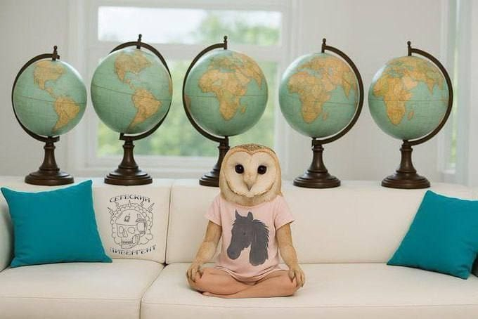 ����, ����������� ������� ��������� � ��������