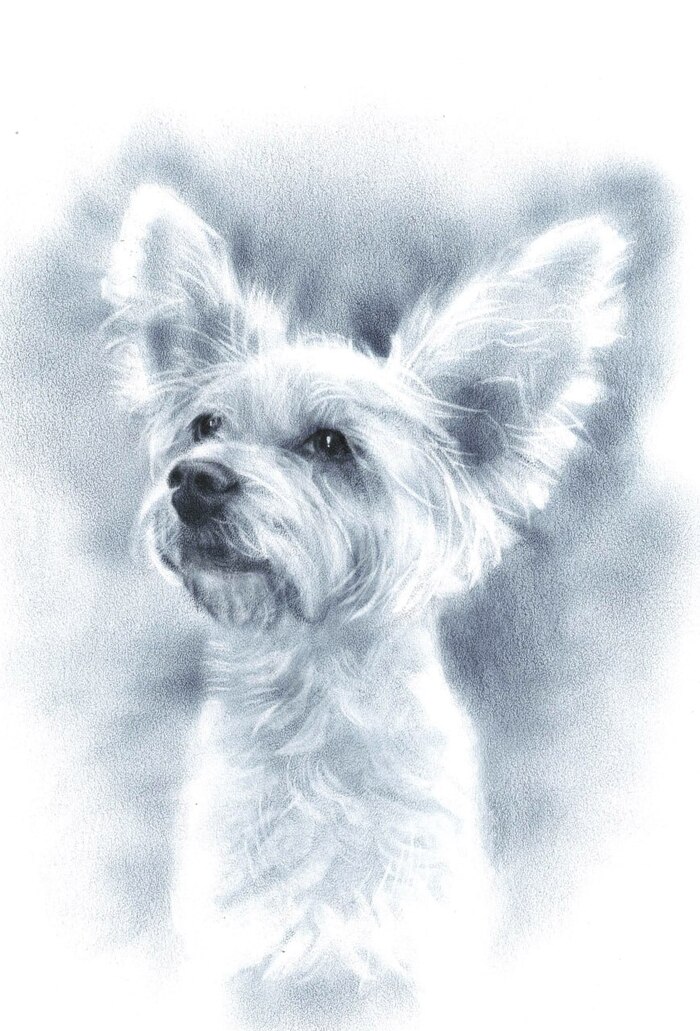 ���� �� �������