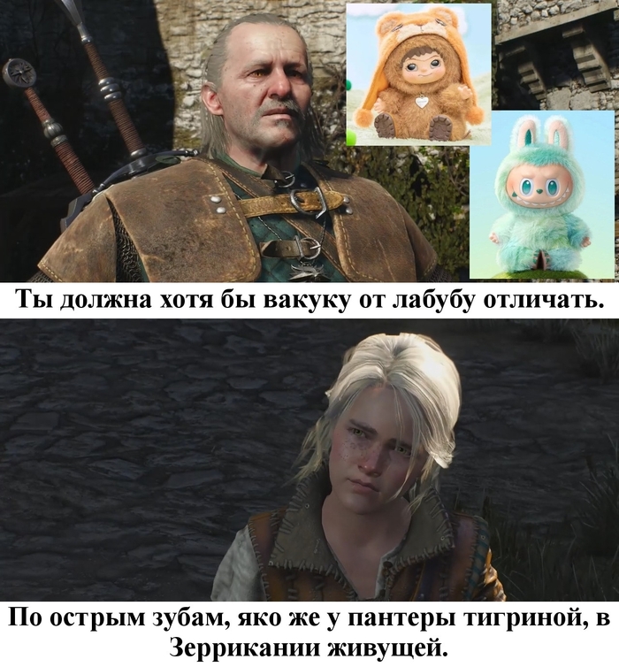 ��� ���� ���