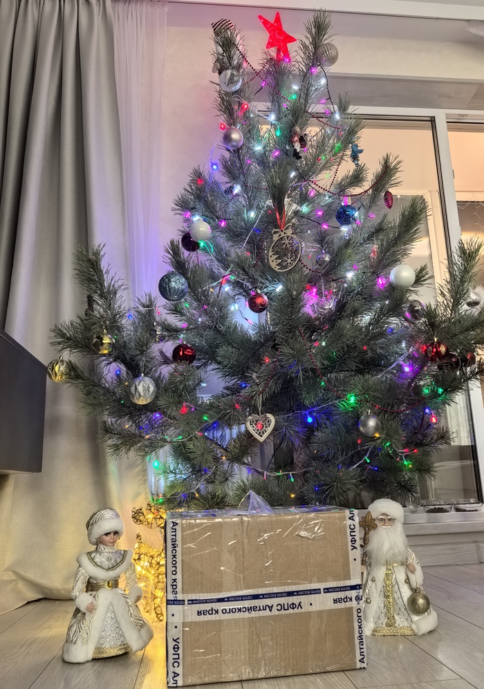 ��� 2025-2026 ����������� - ������