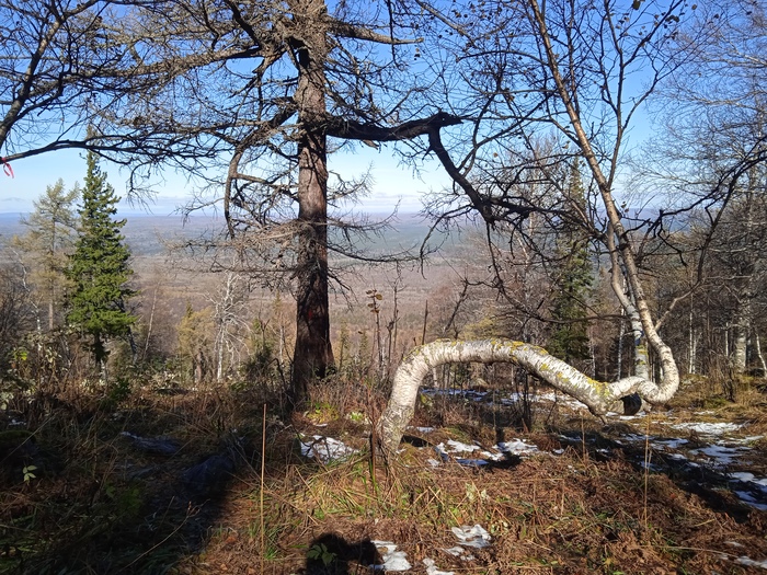 ������������ � ����